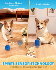 Bryxkla Interactive Ball magnetic lock ensures safe startup before first play.