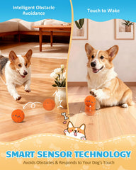 Bryxkla interactive ball obstacle-avoidance shows smart navigation around furniture during play