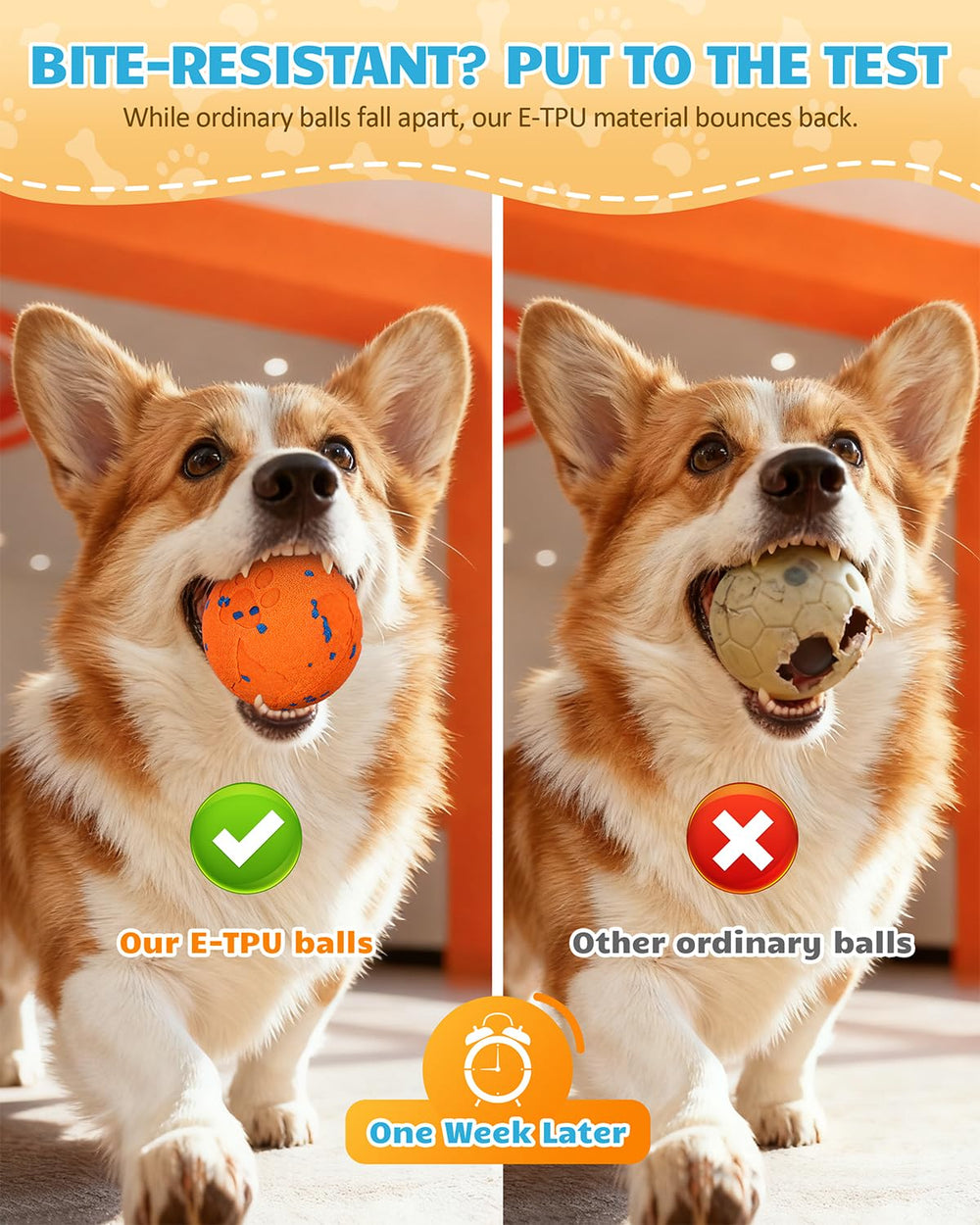 Bryxkla interactive ball overnight-charge enables long play after 90-minute recharge