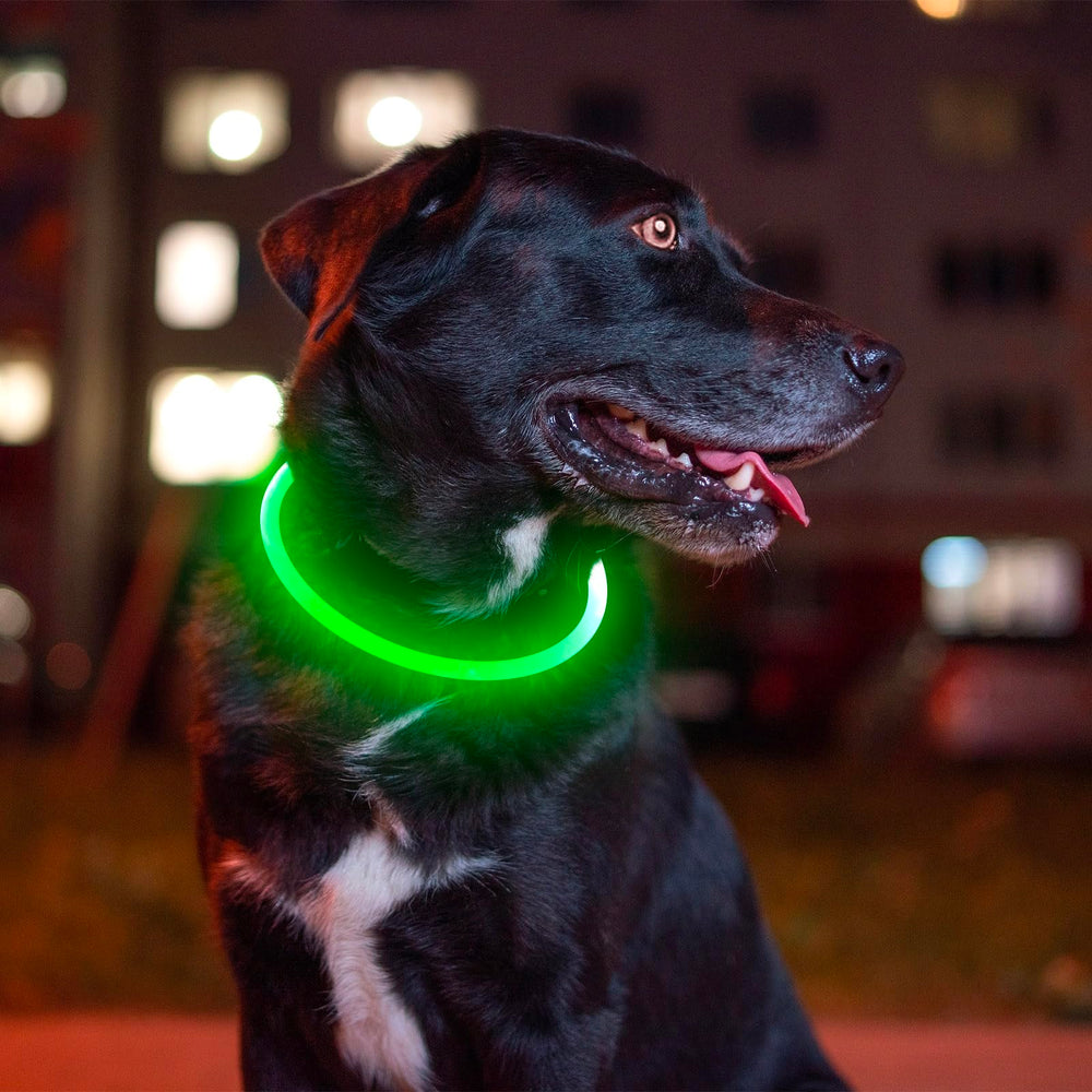 BSEEN collar LED: diseño resistente y uso rápido para dueños activos.