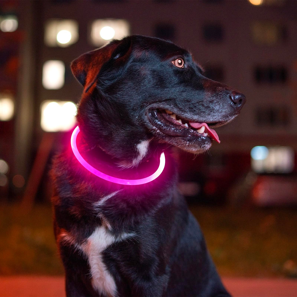 Tres modos de iluminación en collar LED rosado para mayor versatilidad