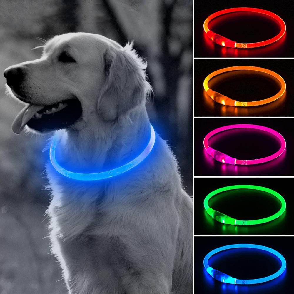 Collar BSEEN con luz 360° para perros, mejora la visibilidad nocturna.