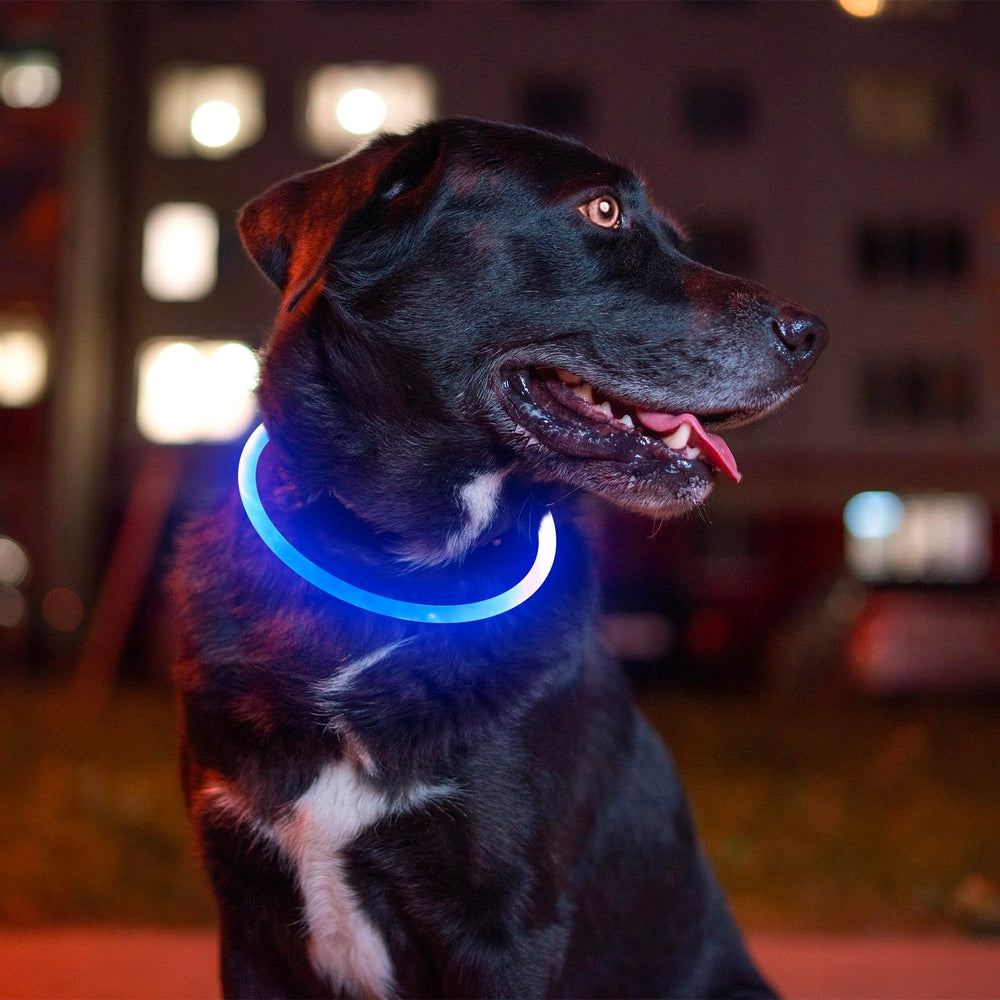 Collar BSEEN azul iluminado, tubo LED visible.