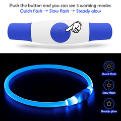 Collar BSEEN azul iluminado, ideal para paseos nocturnos.