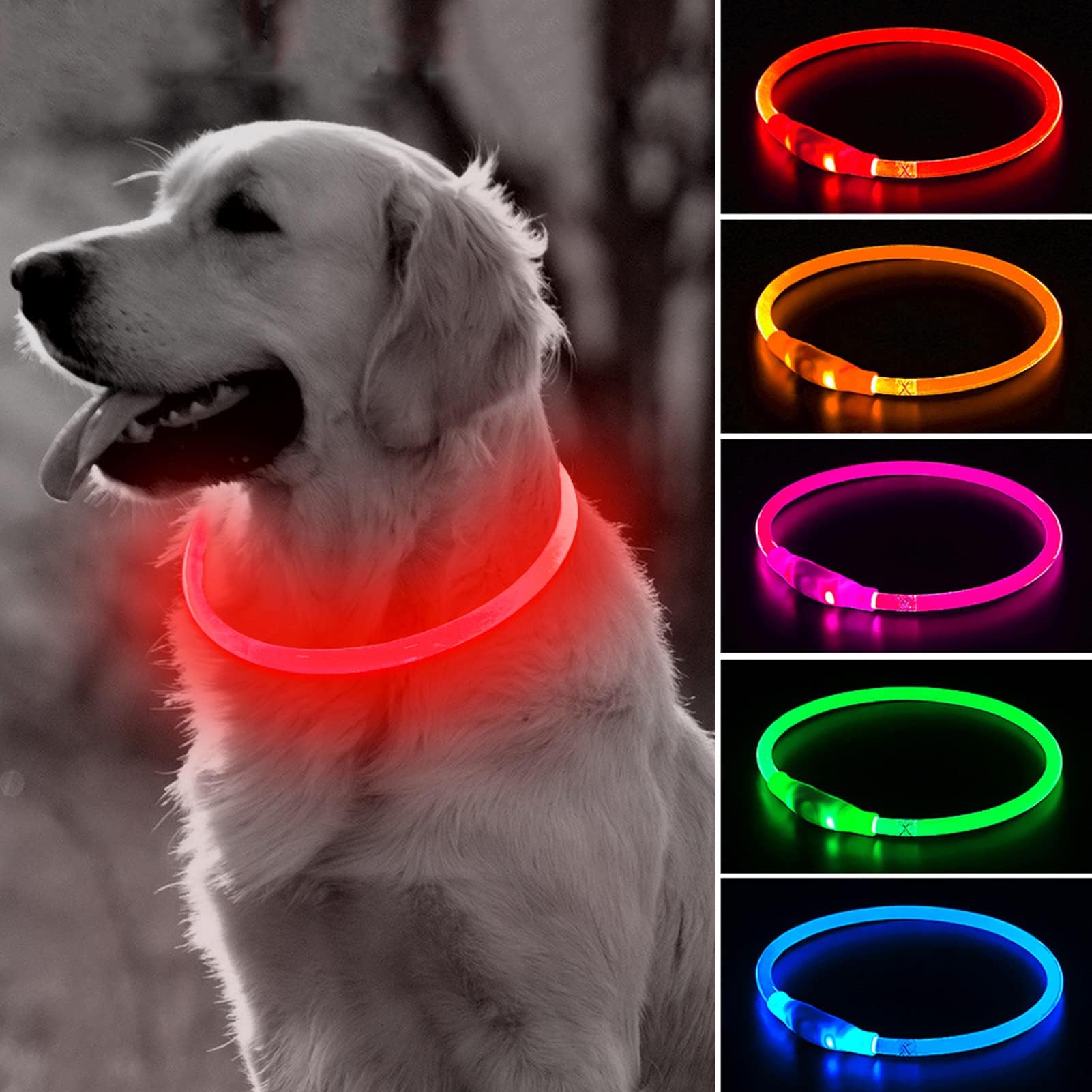 Collar BSEEN para perro con luz 360 grados mejora visibilidad durante caminatas nocturnas.