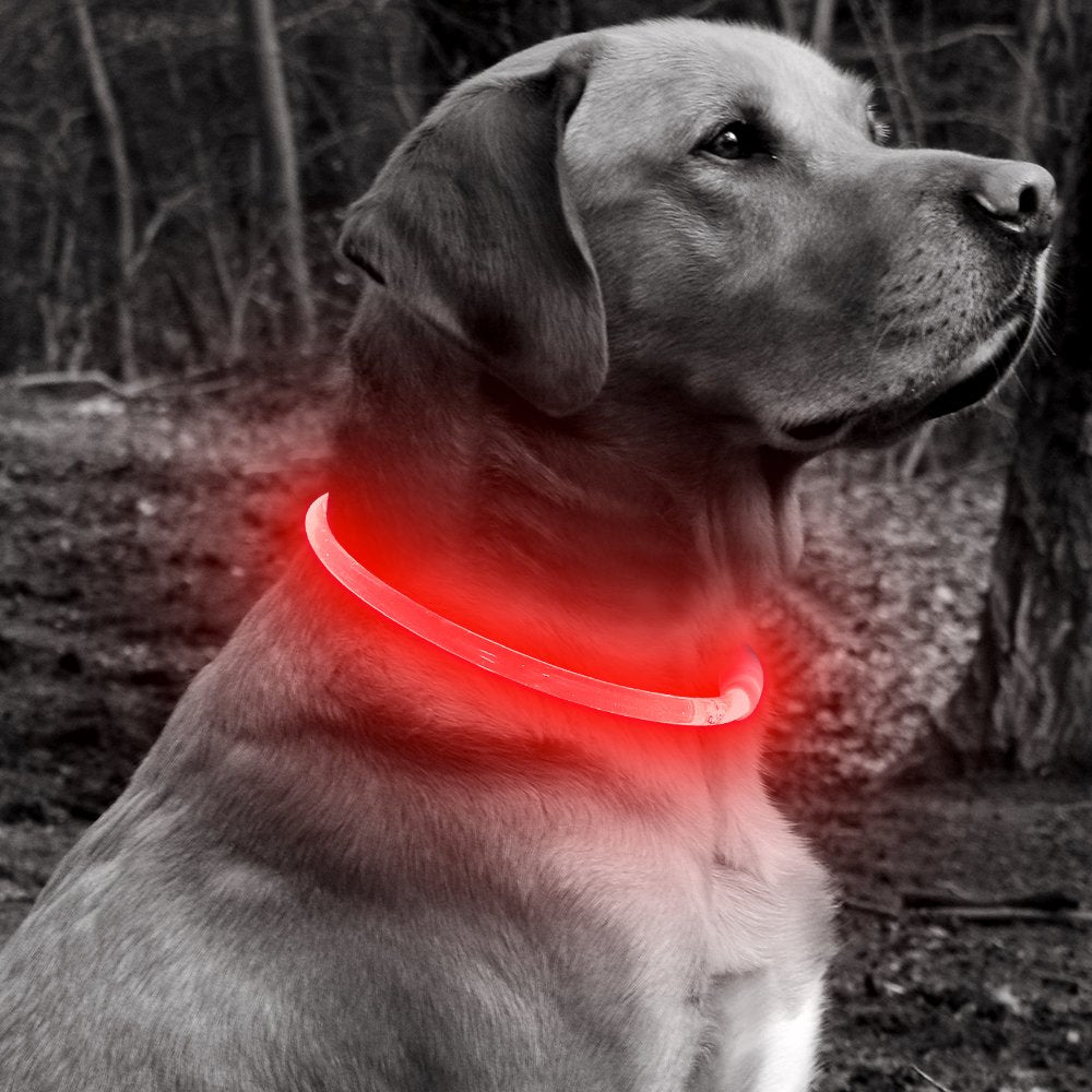 Soporte postventa rápido de BSEEN para este collar luminoso.