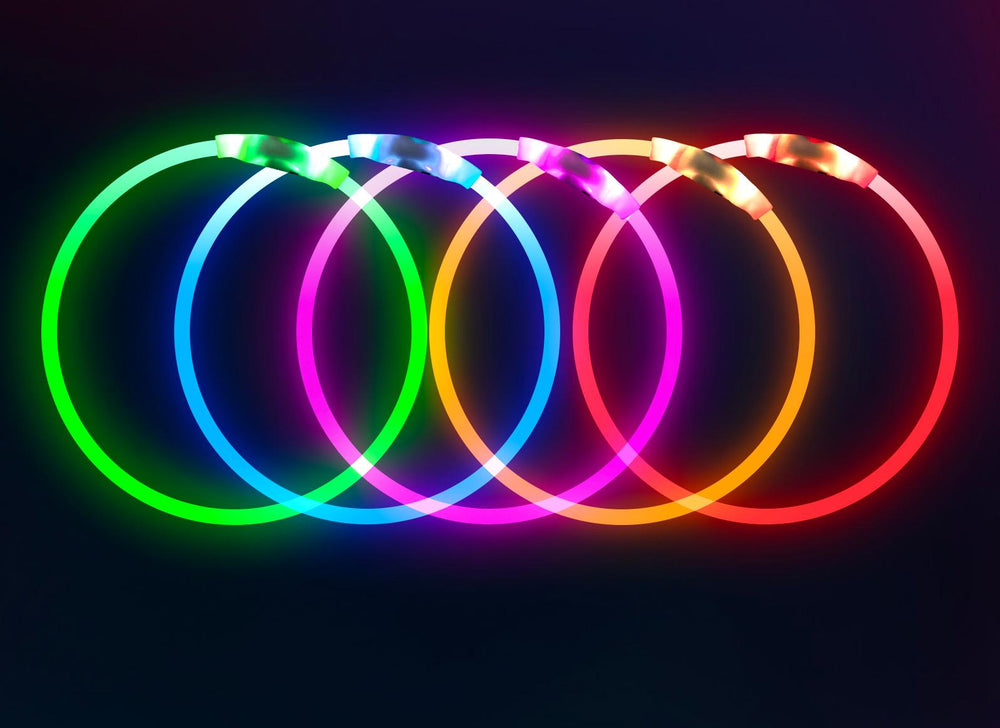 BSEEN LED dog collar on a dog with 70 cm length shows easy adjustability.