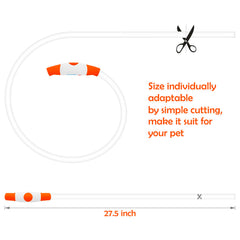 BSEEN LED dog collar close-up button illustrates easy mode switching on-the-go.