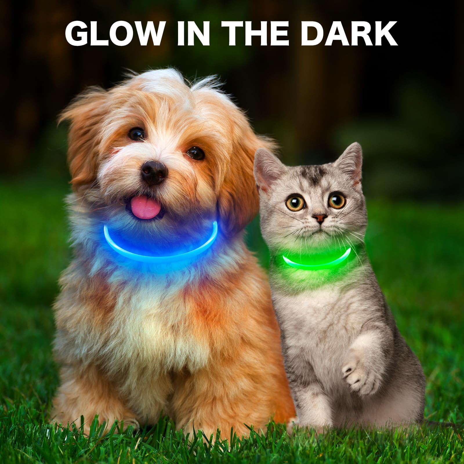 BSEEN light up dog collar adjustable strap for snug fit