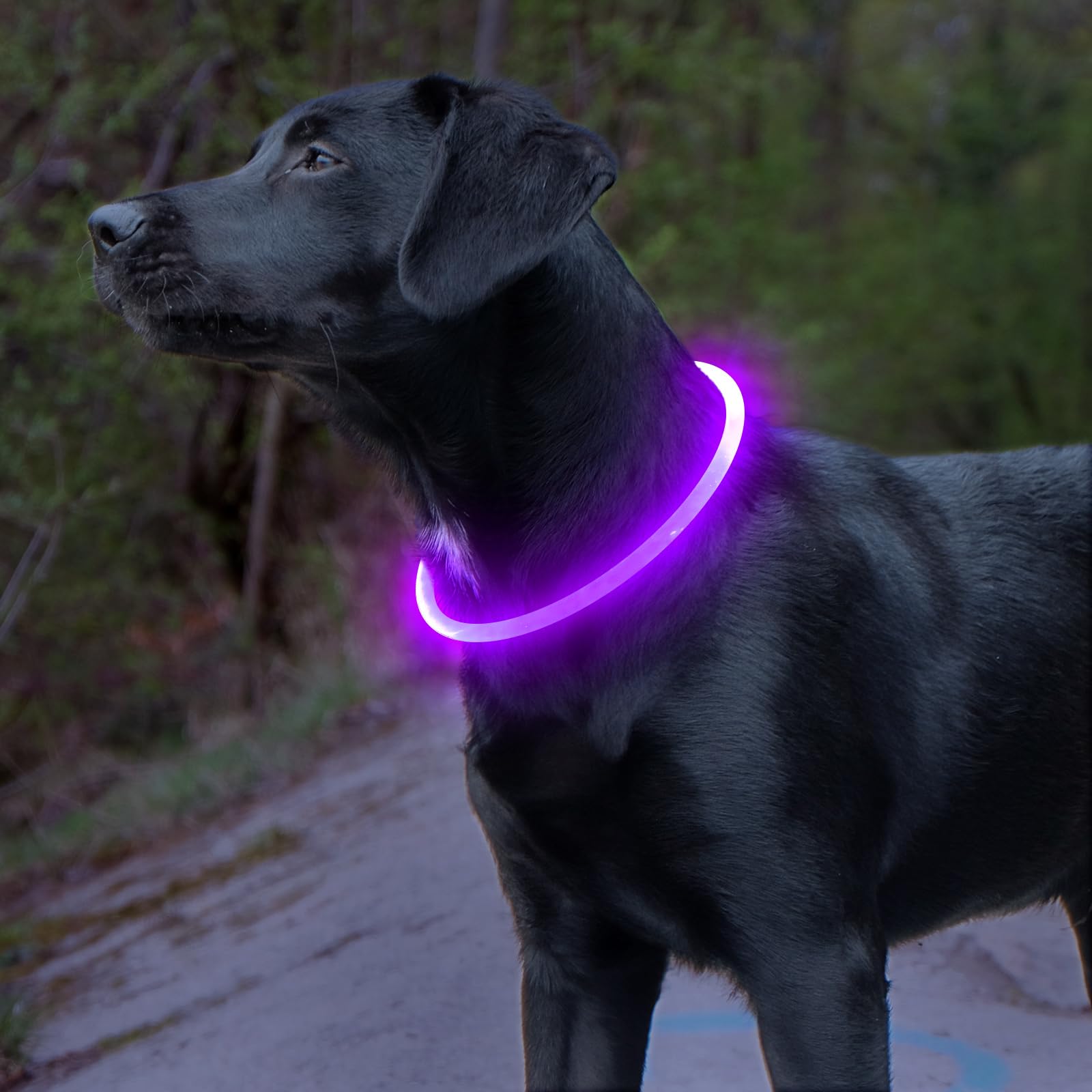 BSEEN light up dog collar easy to use during quick on and off fitting.