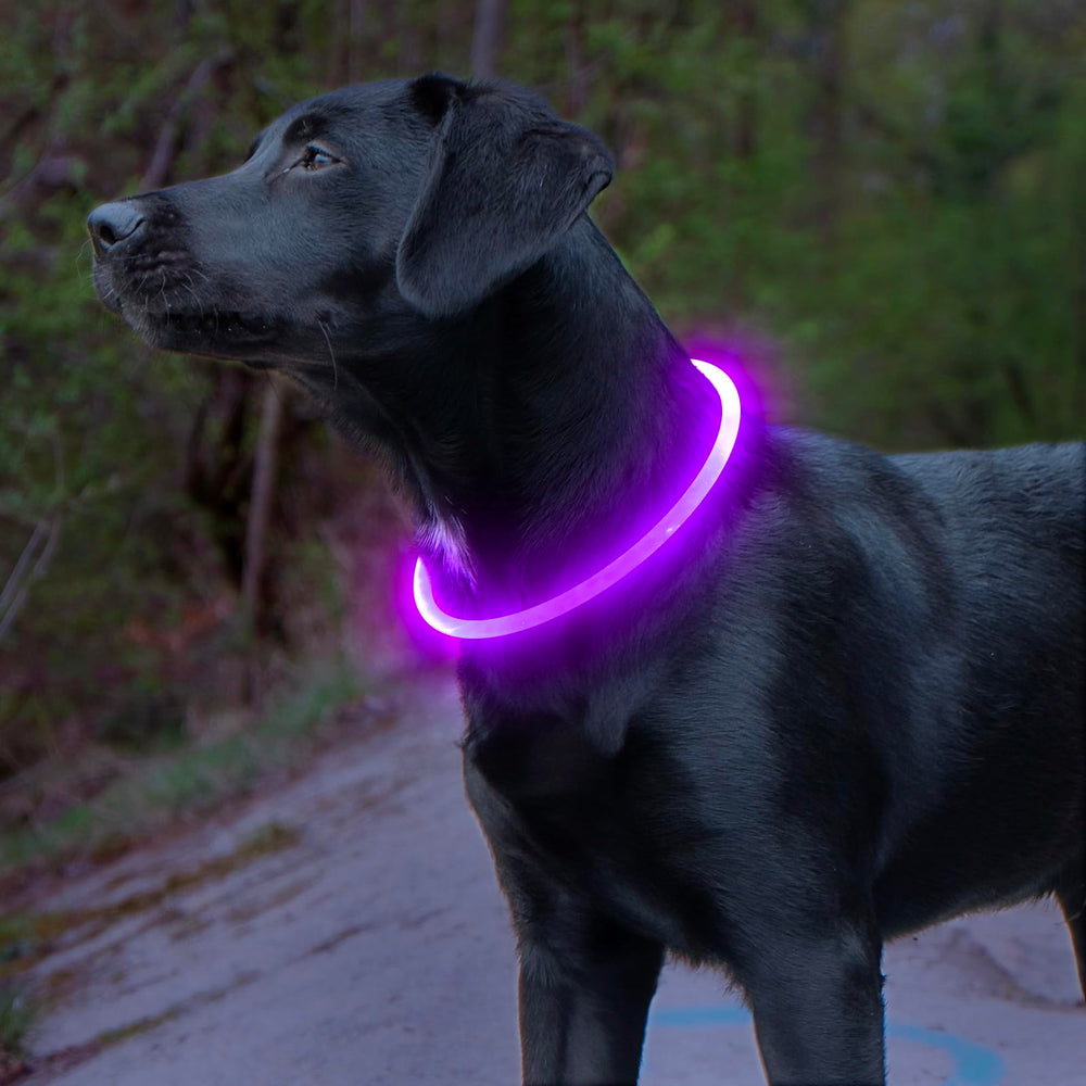 BSEEN light up dog collar easy to use during quick on and off fitting.