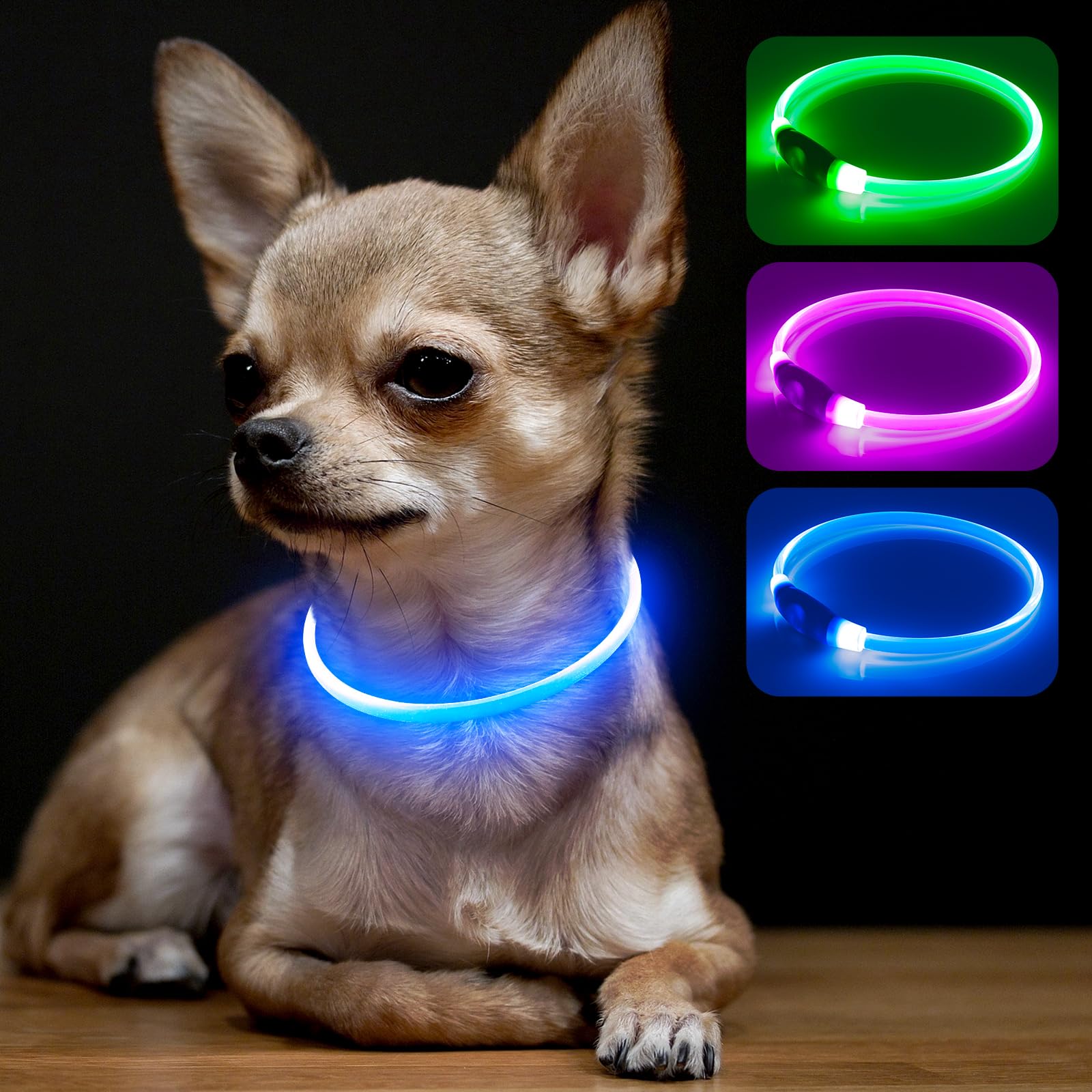 BSEEN light up dog collar front glow for nighttime visibility during walks