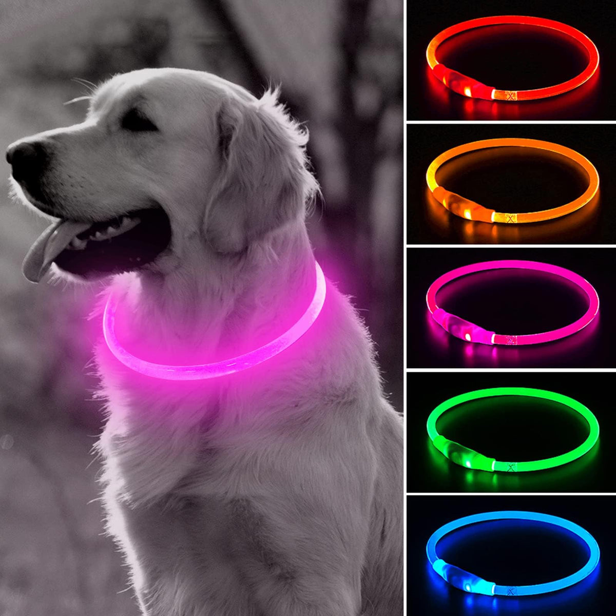 BSEEN Light Up Dog Collar pink front view enhances night visibility