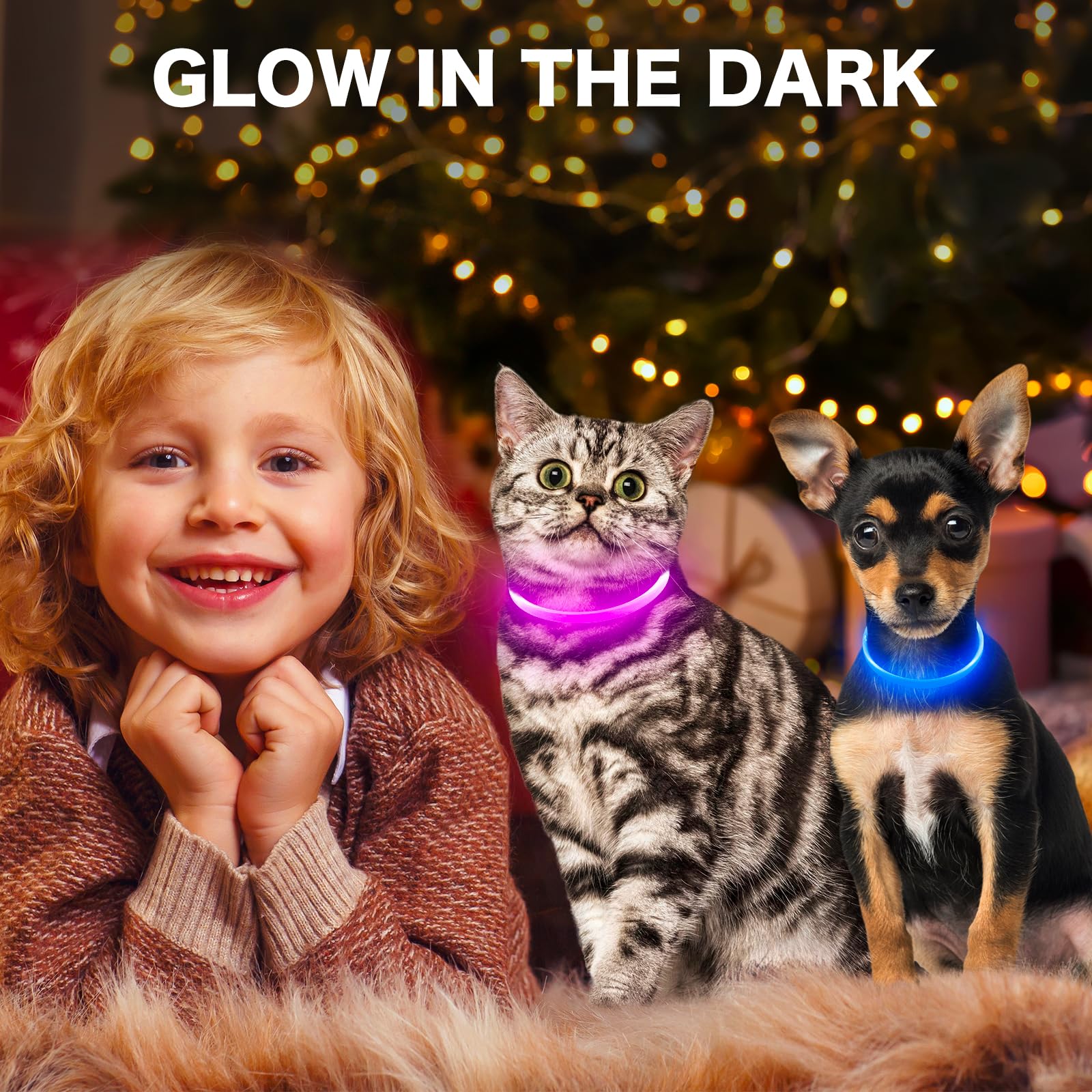 BSEEN light up dog collar rainproof design for outdoor use