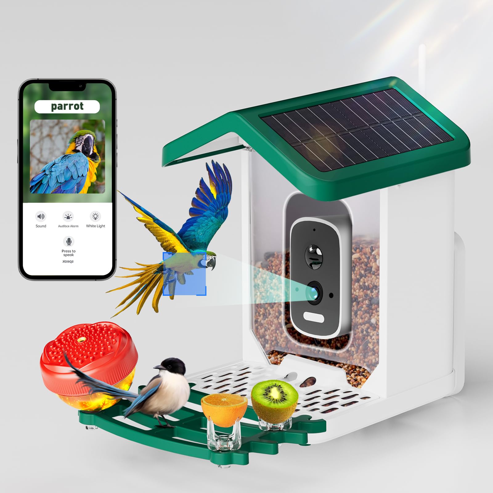 Bsemax Smart Bird Feeder camera front view shows real-time arrivals with vivid HD detail