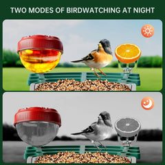 Bsemax Smart Bird Feeder grain-bin view highlights 1.5L capacity for extended seed watching