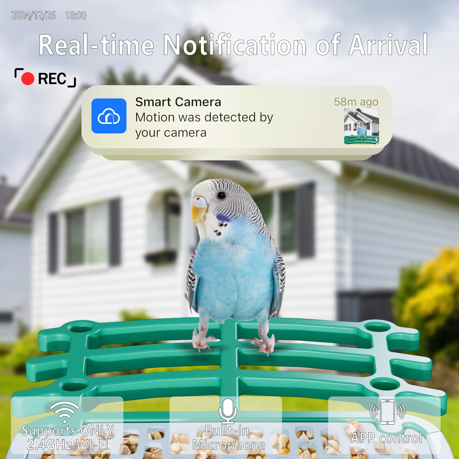 Bsemax Smart Bird Feeder night vision image preserves clear activity after dark for nocturnal visitors