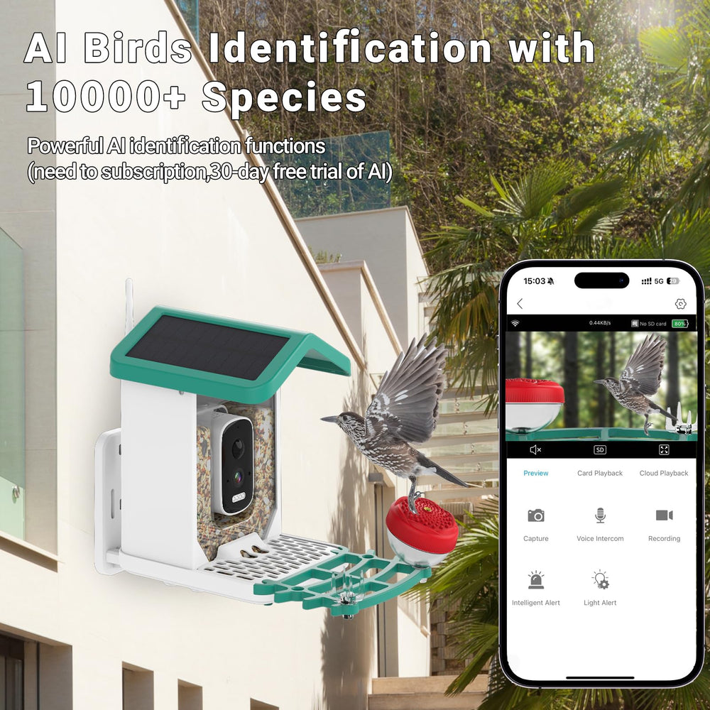 Bsemax Smart Bird Feeder solar top panels enable continuous power for outdoor monitoring