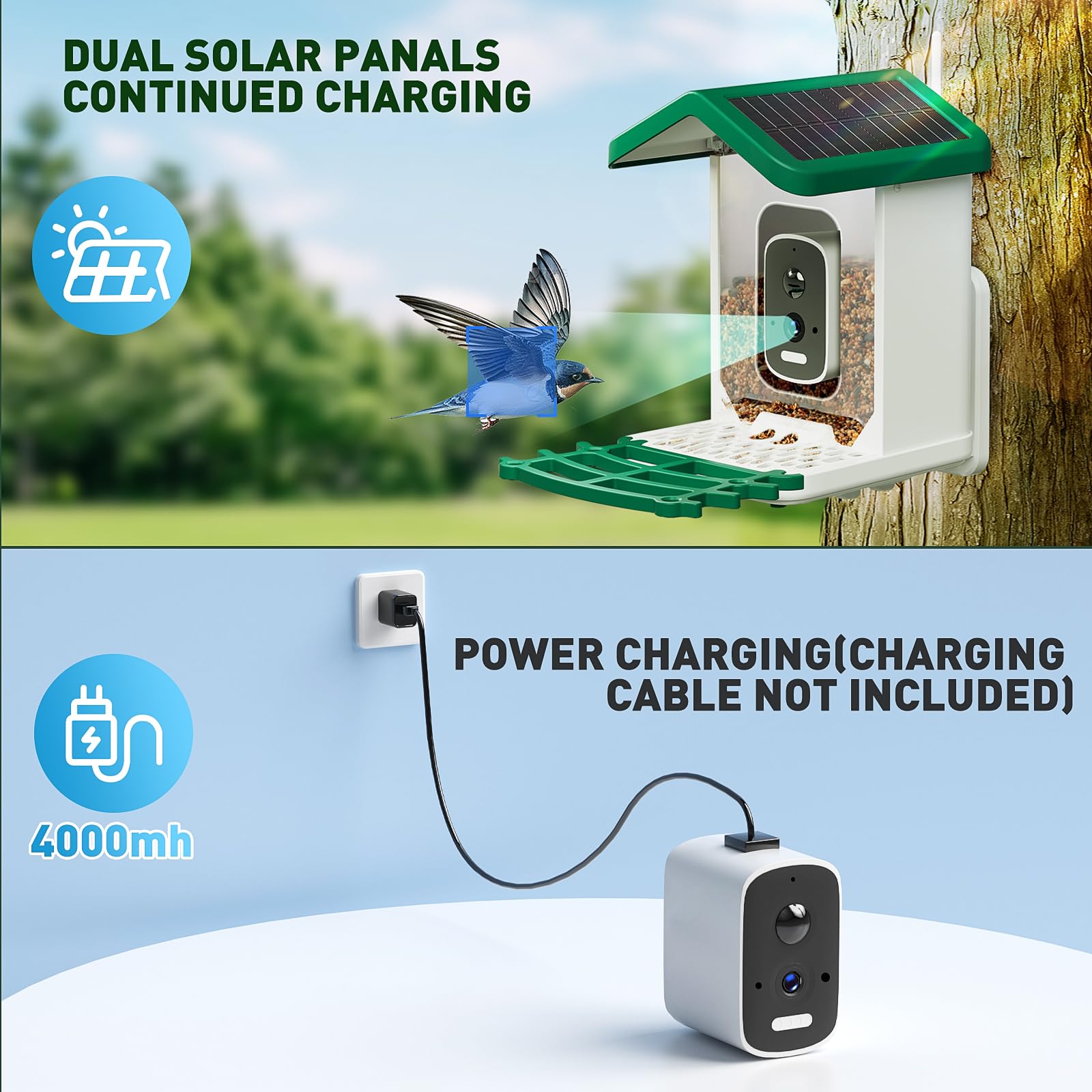 Bsemax Smart Bird Feeder squirrel-guard helps protect feed while you observe visiting birds