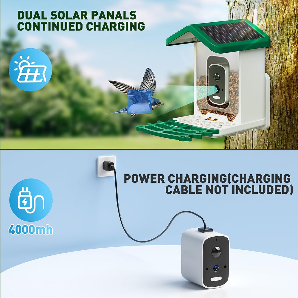 Bsemax Smart Bird Feeder squirrel-guard helps protect feed while you observe visiting birds