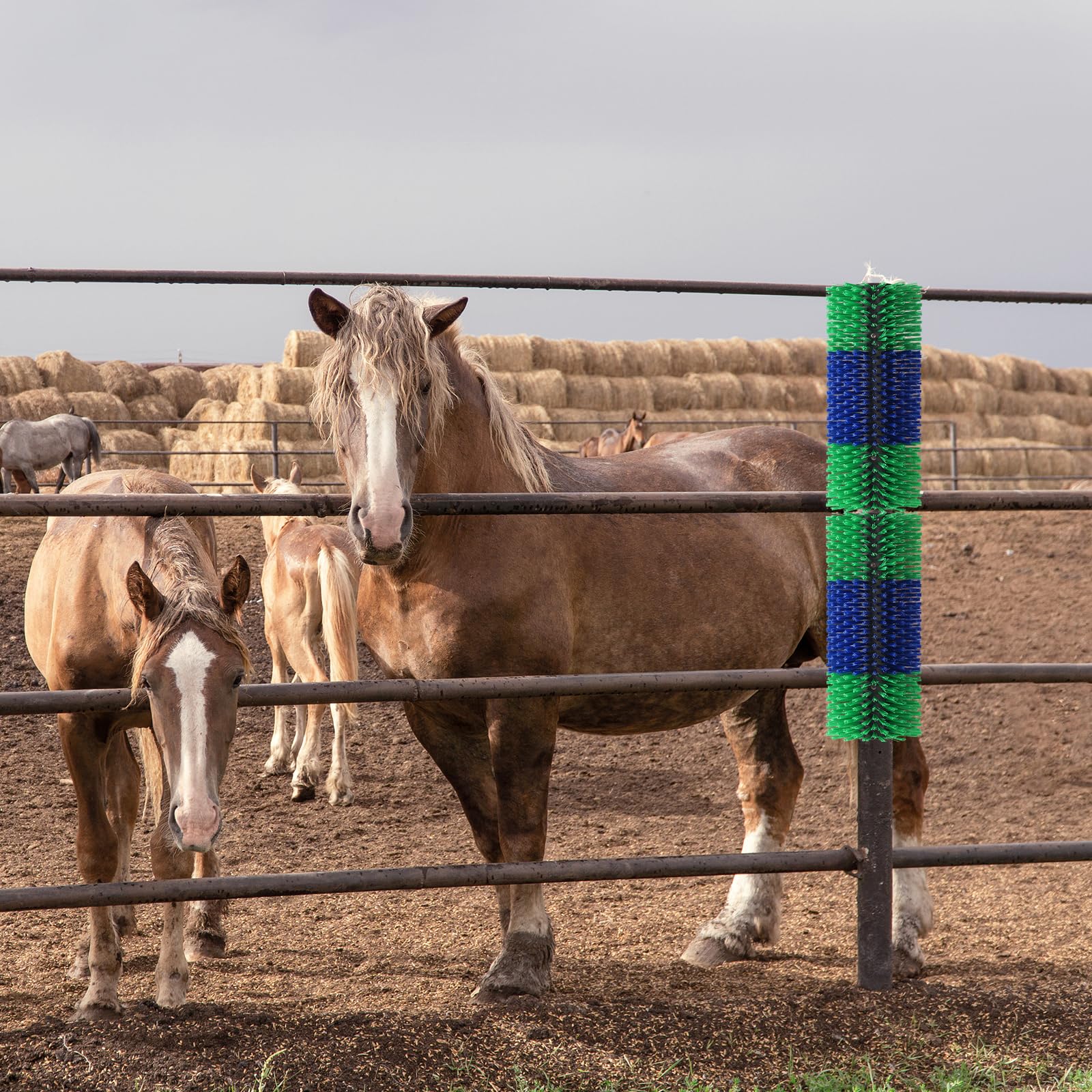 BShome livestock scratching brush green outdoor durability suits barns and paddocks