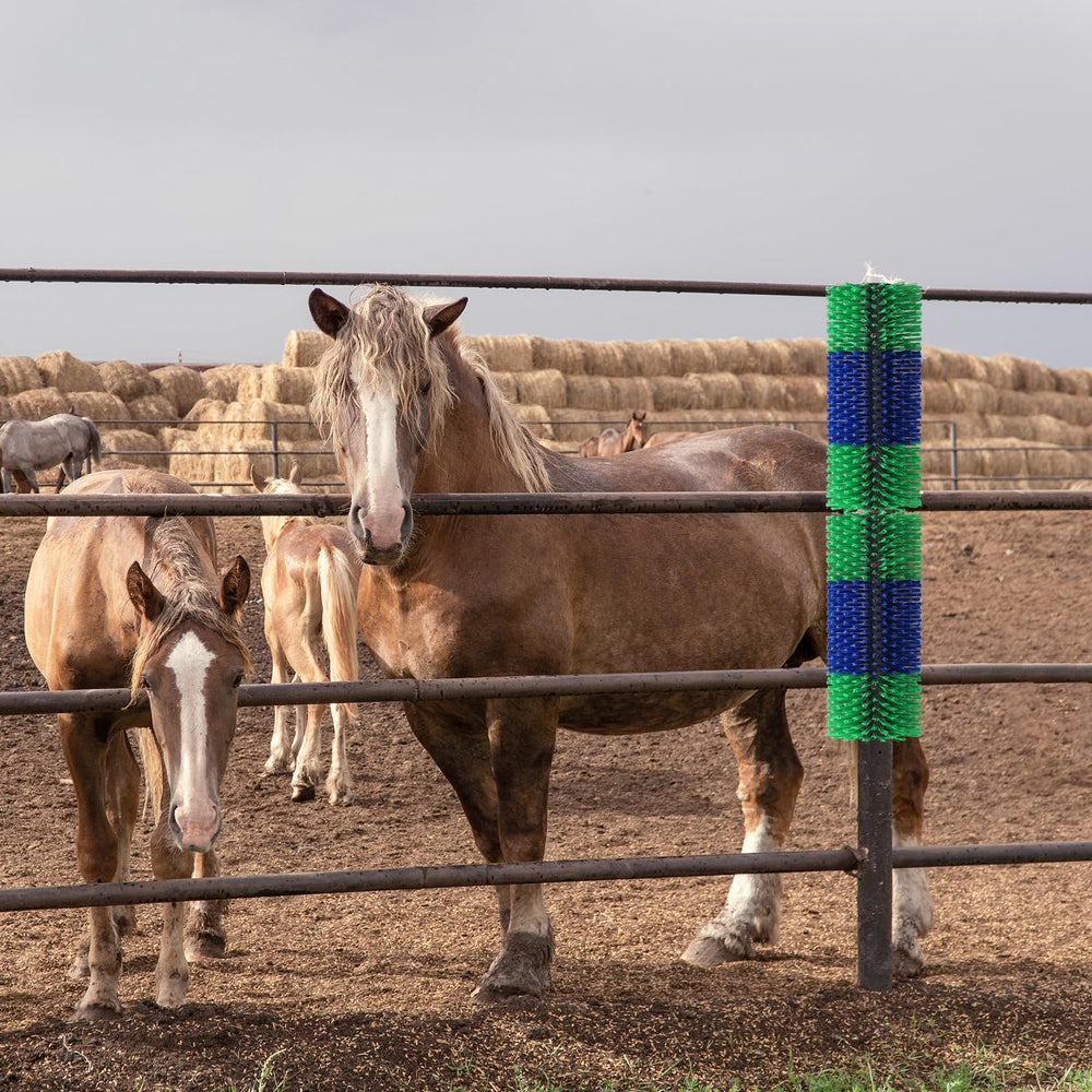 BShome livestock scratching brush green outdoor durability suits barns and paddocks