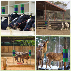 BShome livestock scratching brush green side installation shows easy fence mounting for grooming