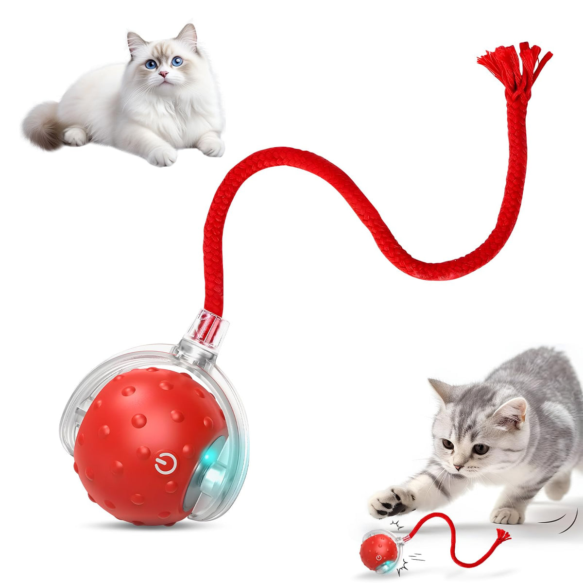 BSolus Tiny Fetch 360° roll demonstrates engaging indoor play for dogs