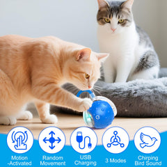 BSolus Tiny Fetch birdsong sound invites natural chasing and interactive fun