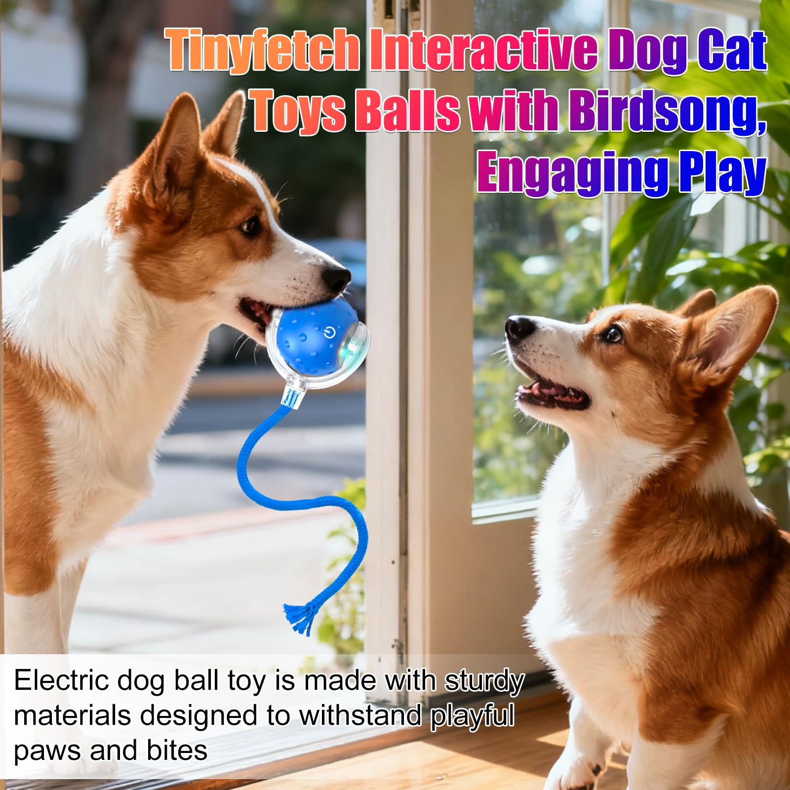 BSolus Tiny Fetch 360° rolling toy helps protect floors during zoomies