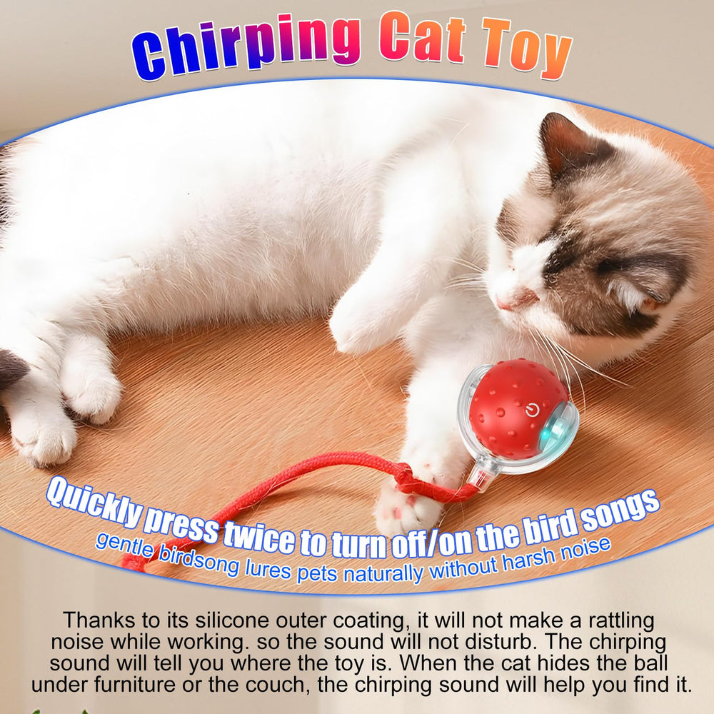 BSolus Tiny Fetch suitable for small to medium dogs and curious cats