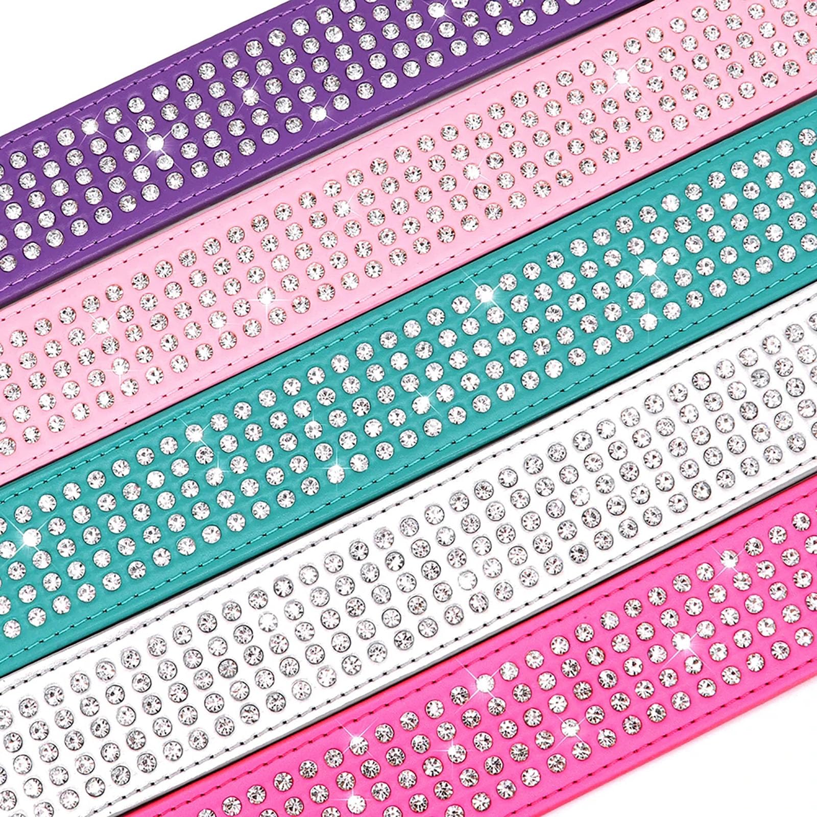 BTDCFY crystal-studded collar on a dog shows festive sparkle for events