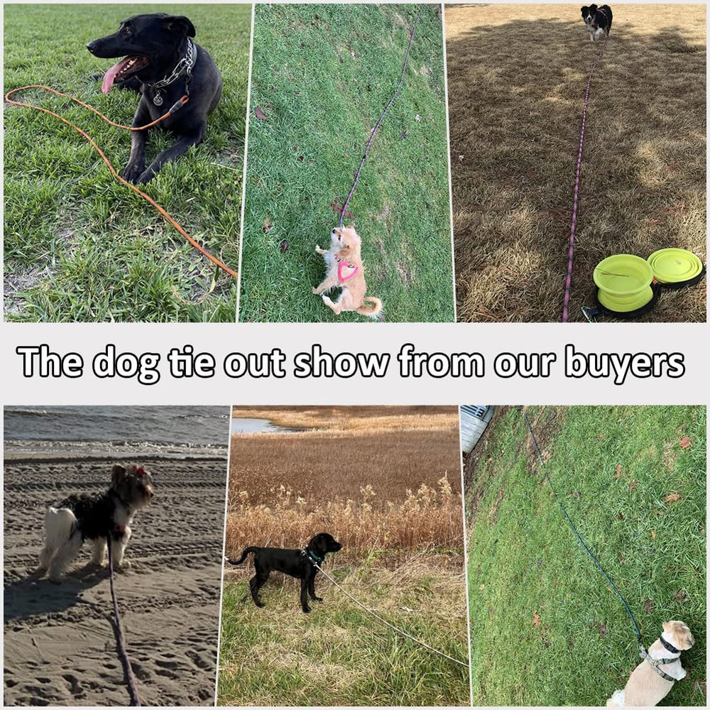 BTINESFUL dog tie-out rope outdoor setup enables quick yard, post, or tree tethering