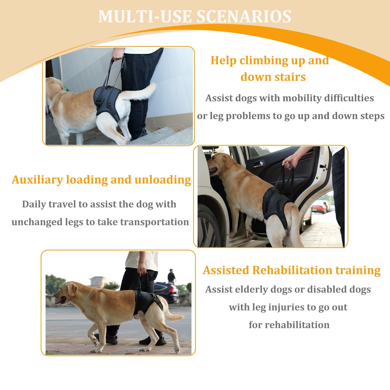 BUALR dog abdominal-opening-design—allows defecation without removing harness.