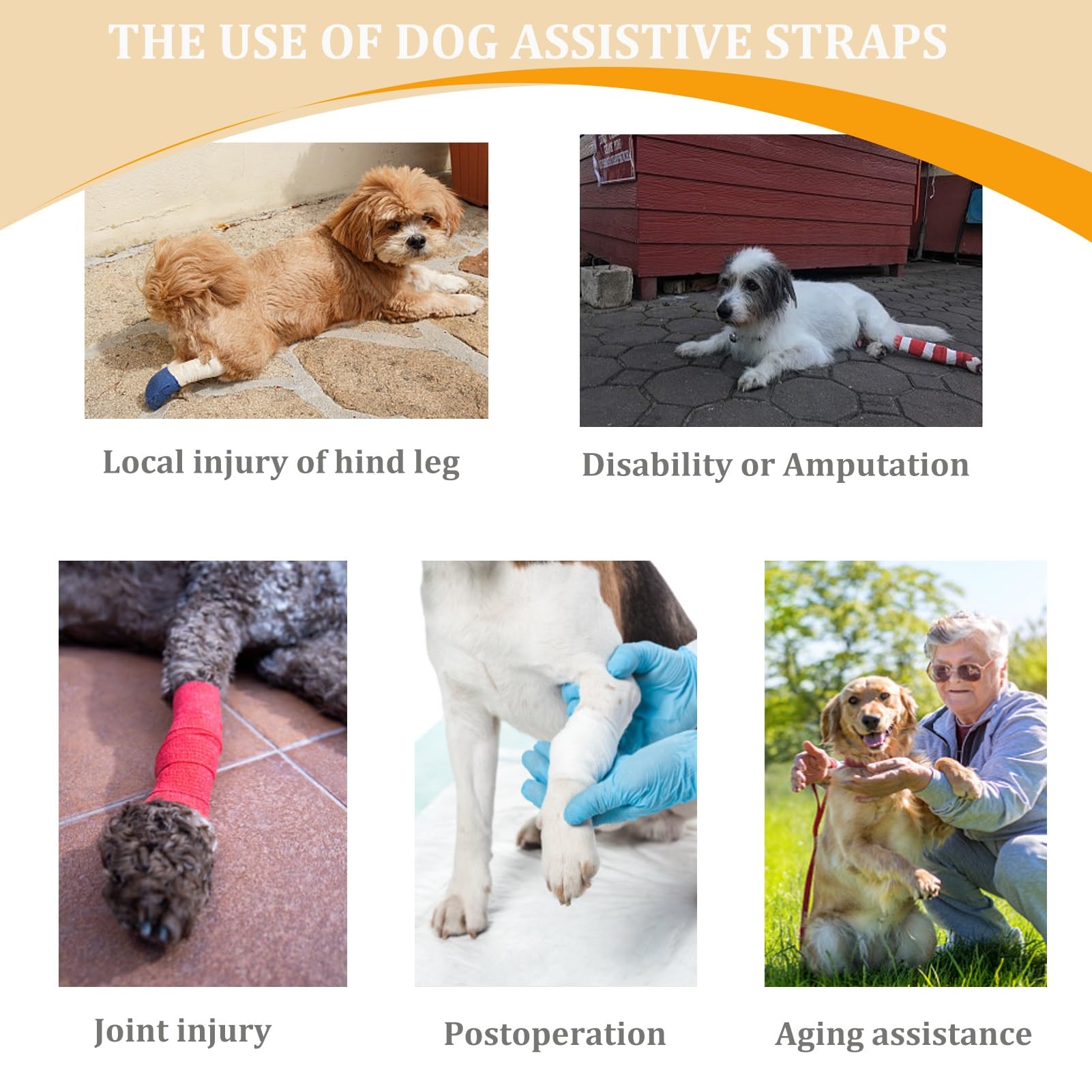 BUALR dog lift harness ideal for elderly or injured dogs during walks