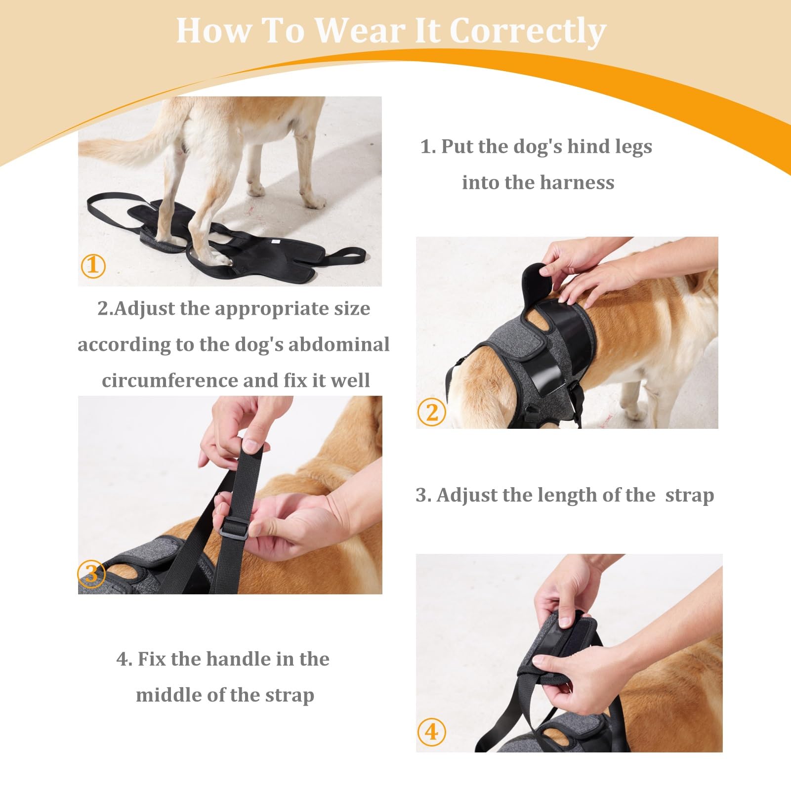 BUALR dog size-chart-measurement—helps find the right fit for 13–77 lb dogs.