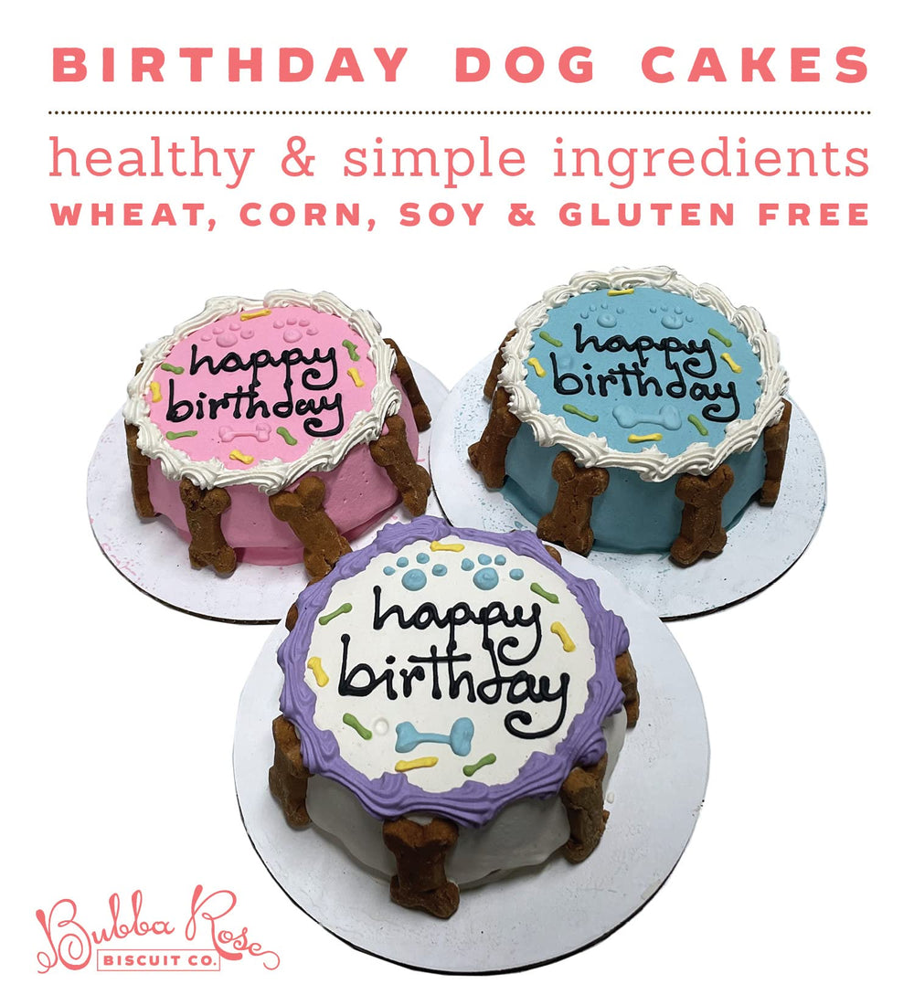 Bubba Rose Pink Dog Birthday Cake dog enjoying a crunchy moment