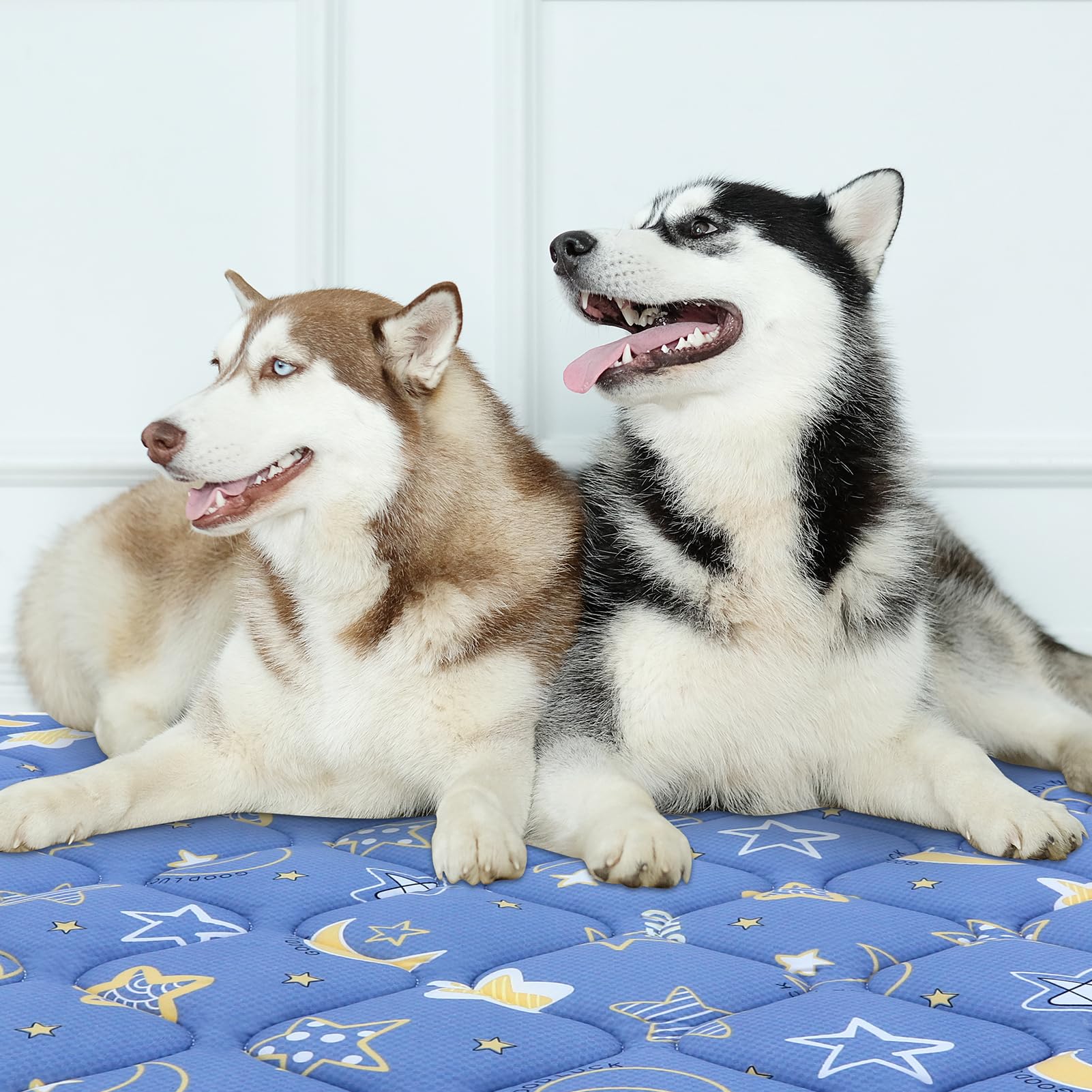 Bubble Bear Dog Crate Mat dark color hides stains between washes.
