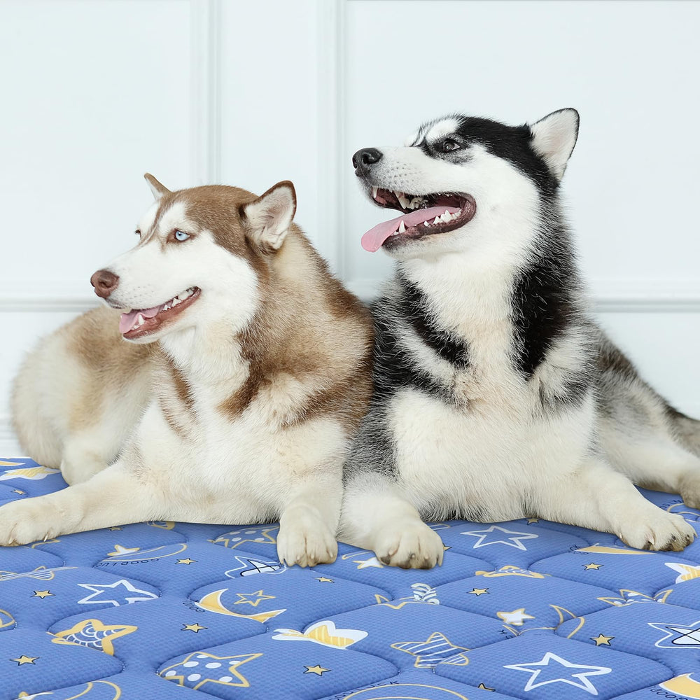 Bubble Bear Dog Crate Mat dark color hides stains between washes.