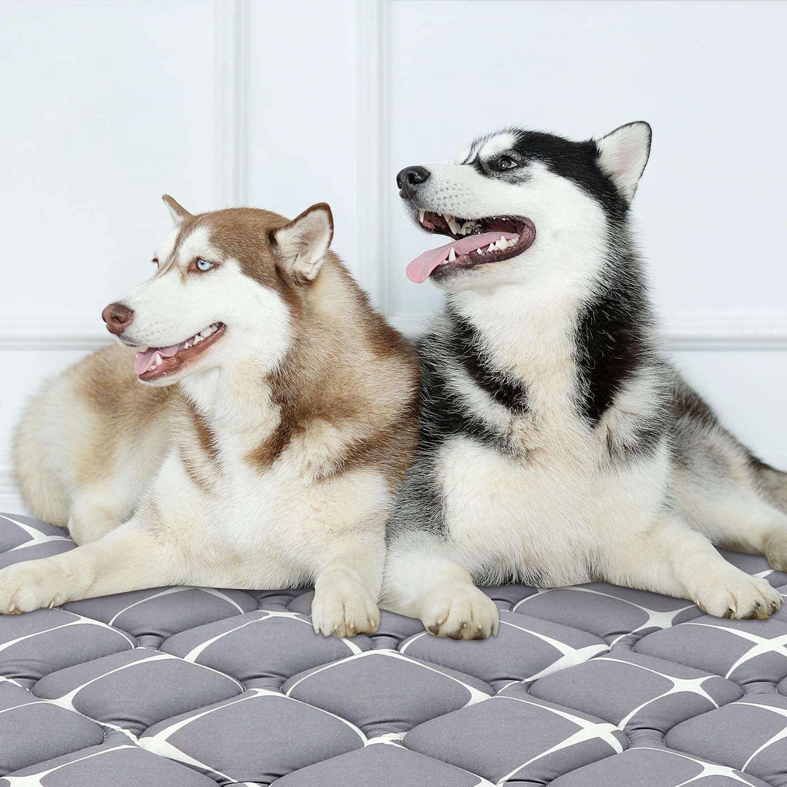 Bubble Bear Dog Crate Mat dark-hued fabric hides dirt and fur
