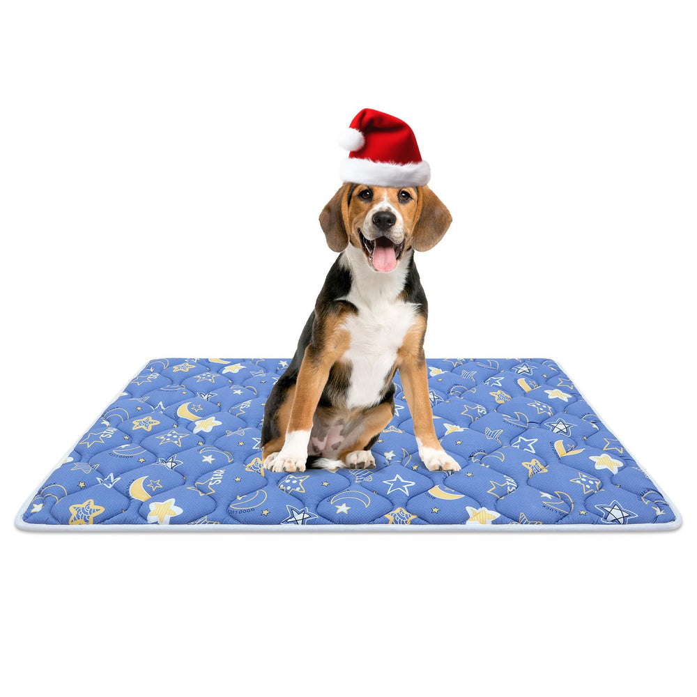 Bubble Bear dog crate mat ultra-soft surface for cozy naps.