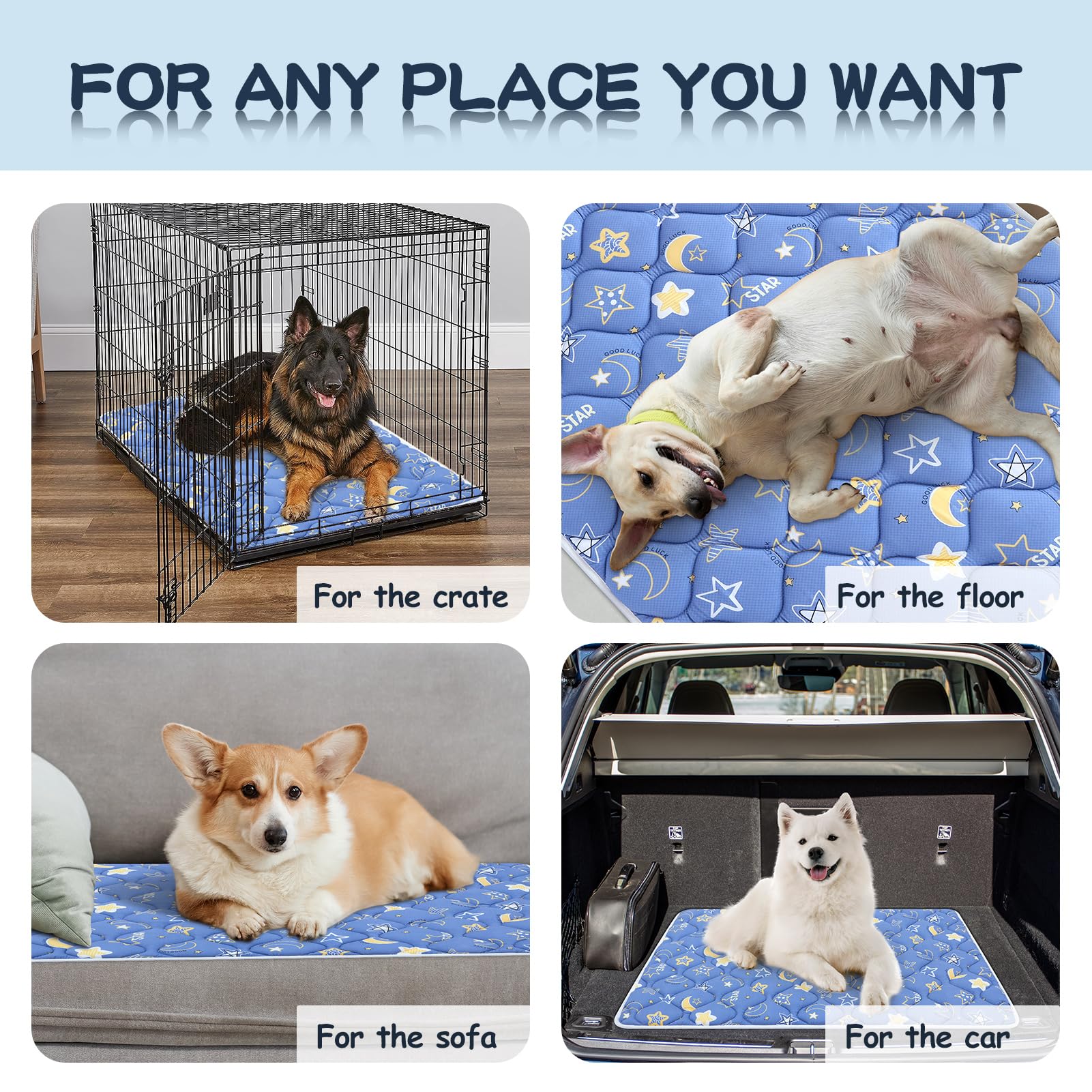 Bubble Bear portable dog crate mat ideal for indoor and outdoor use.
