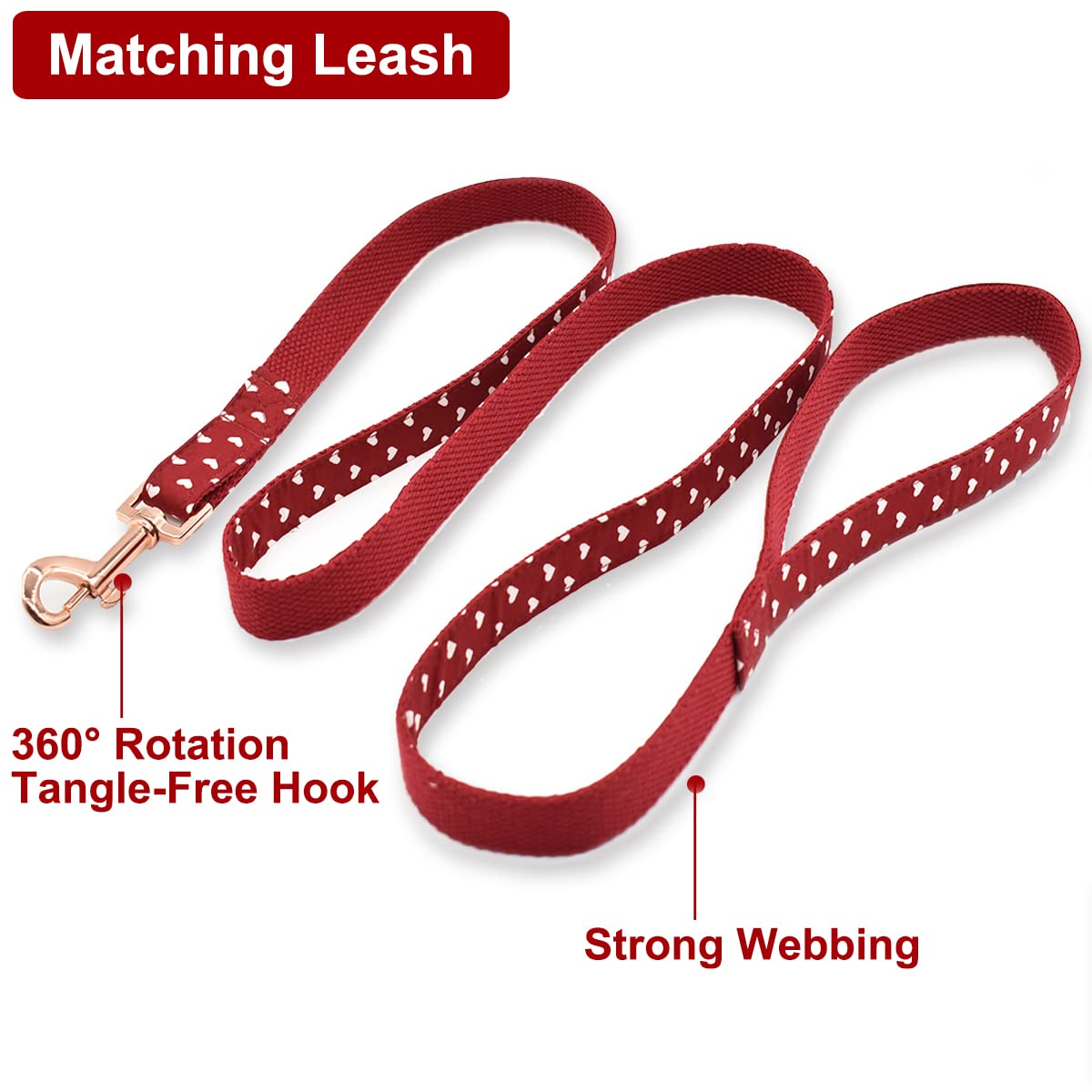Bubblepup-leash-sturdy-webbing highlights durable material for active pets.