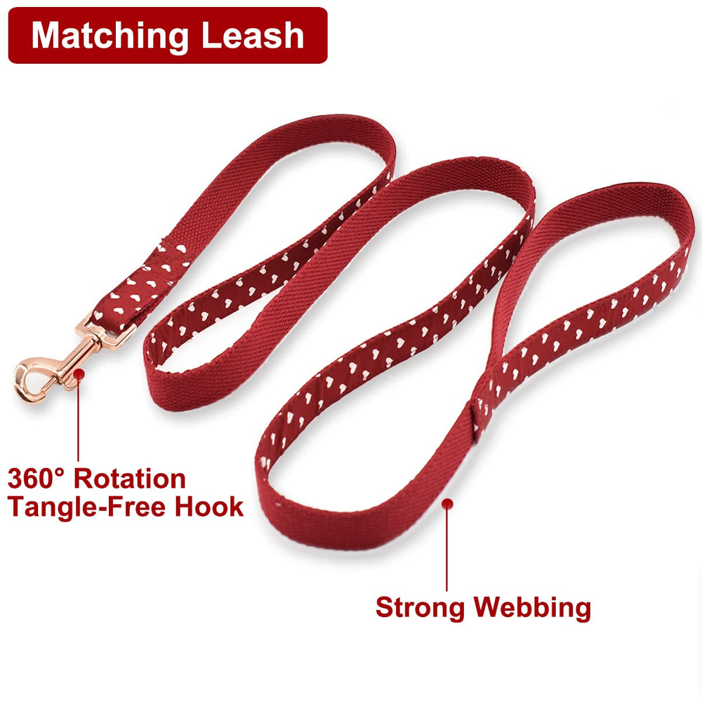 Bubblepup-leash-sturdy-webbing highlights durable material for active pets.