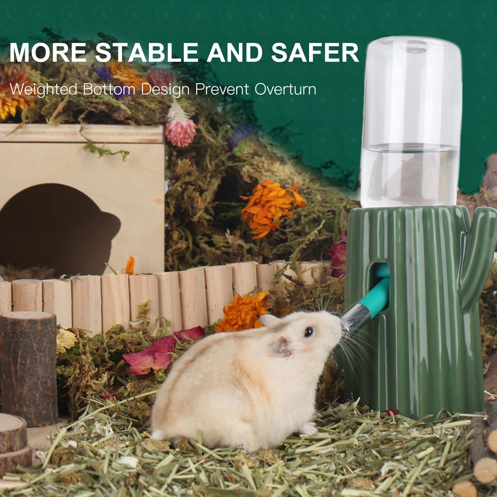 BUCATSTATE green cactus design enhances cage decor while hydrating pets