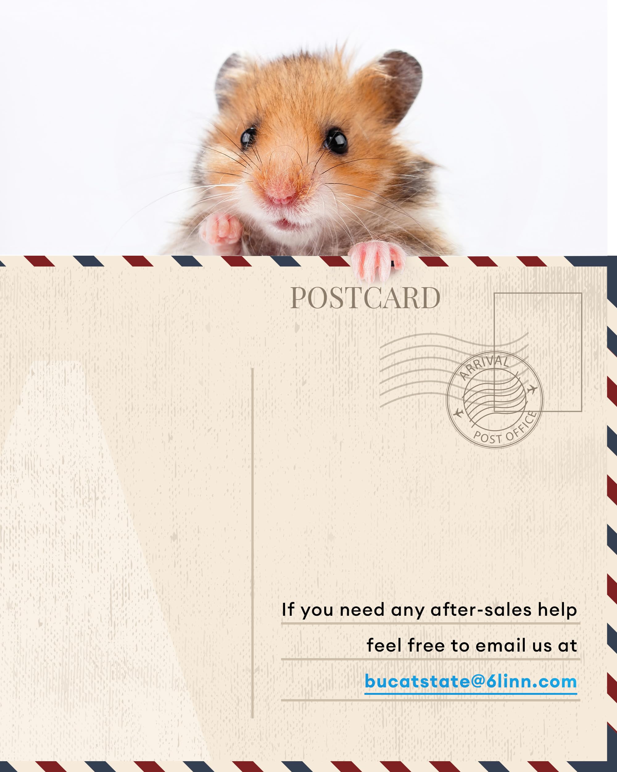 BUCATSTATE Hamster Cage 3.0 easy-clean-bottom design reduces mess and simplifies cleaning.
