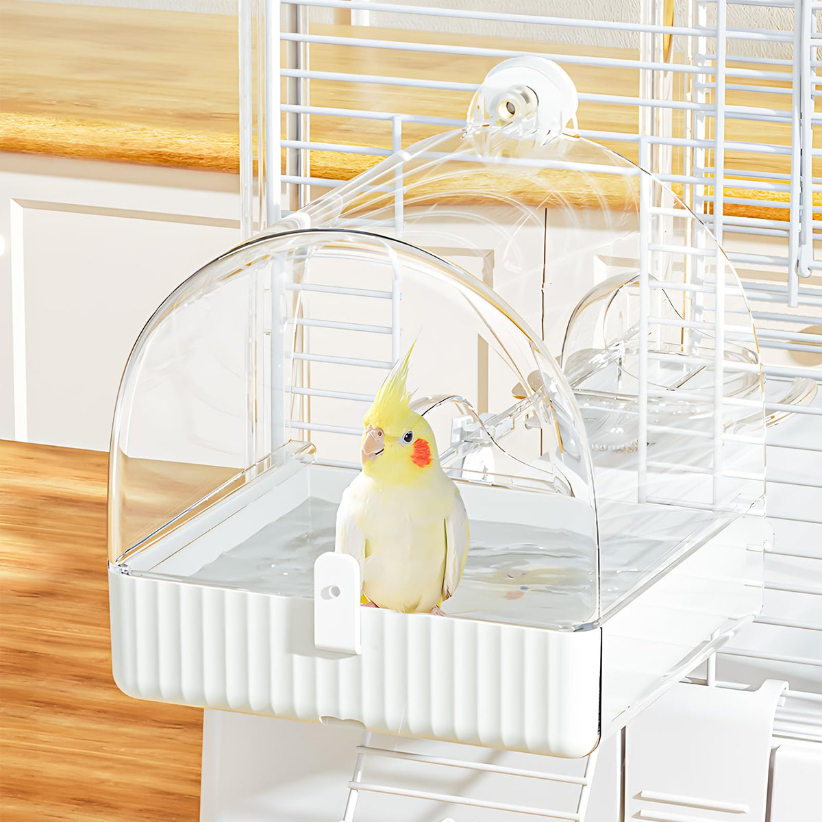 BUCATSTATE hanging bird bath cage view showcases spacious bathing for small to medium birds, boosting hydration and activity.