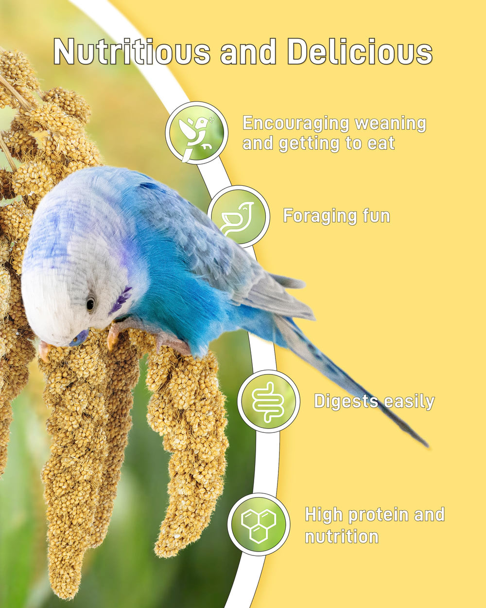 BUCATSTATE hanging-feeder millet closeup shows cage-friendly feeding versatility.