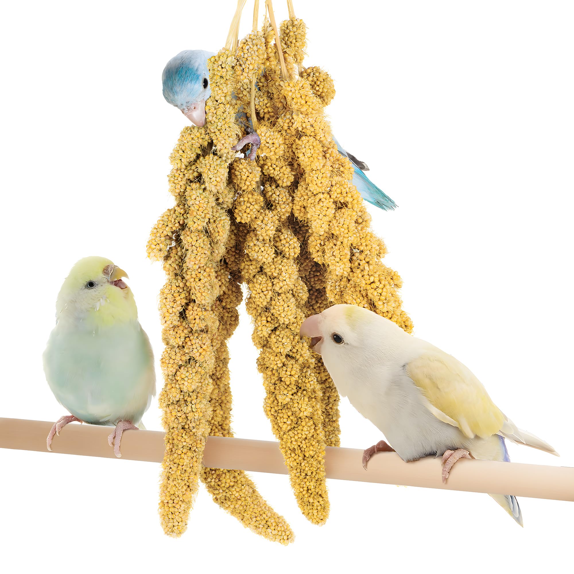 BUCATSTATE millet-spray closeup captures plump texture and natural sun-dried aroma.