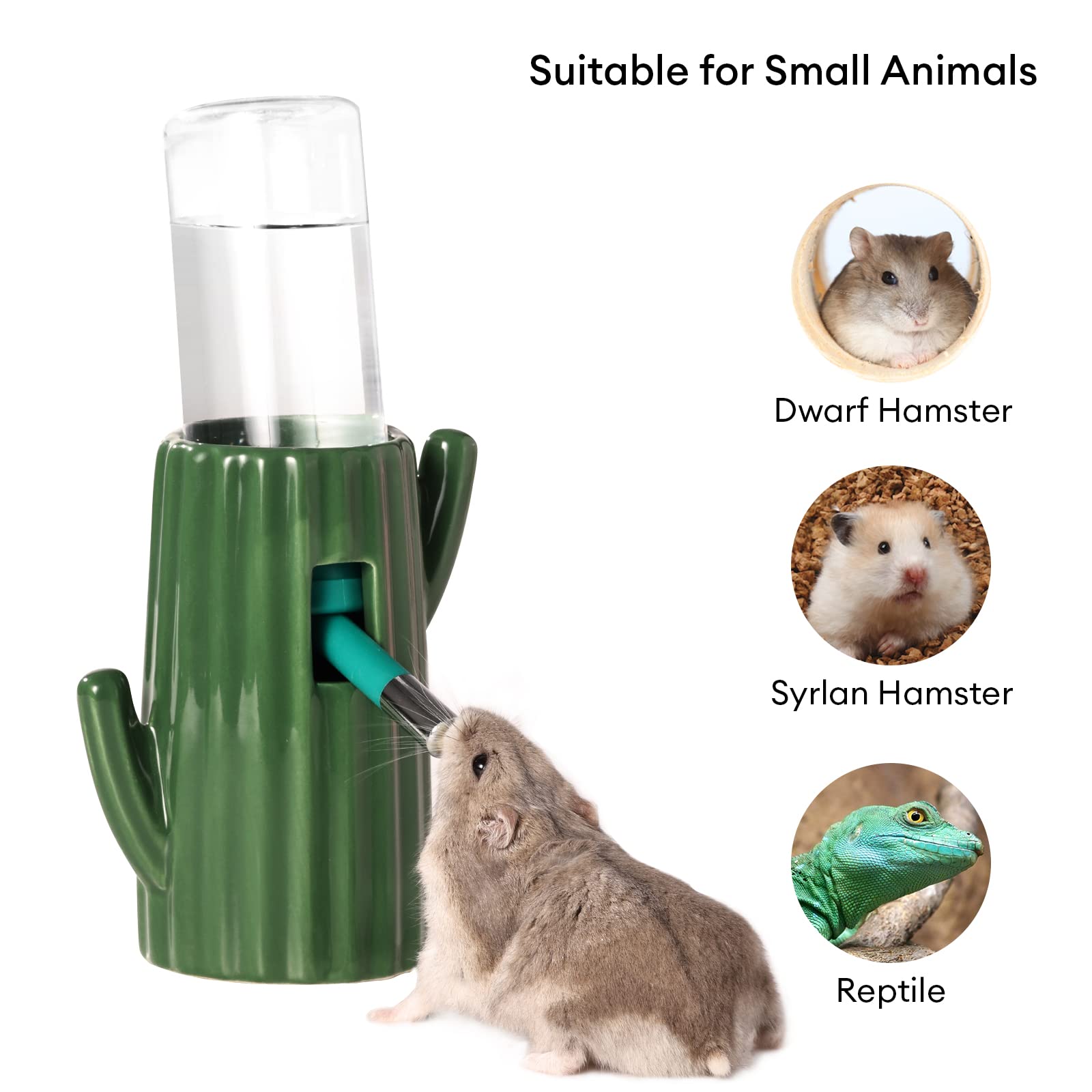 BUCATSTATE pet-safe ceramic material designed for durability and daily use